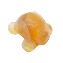 Load image into Gallery viewer, Sea Turtles