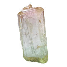 Load image into Gallery viewer, Watermelon Tourmaline Raw Specimen # 102