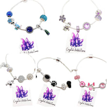 Load image into Gallery viewer, Pandora Bracelet + Charms