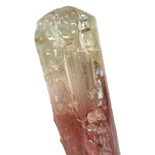 Load image into Gallery viewer, Watermelon Tourmaline Raw Specimen # 15
