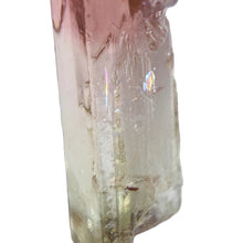 Load image into Gallery viewer, Watermelon Tourmaline Raw Specimen # 15