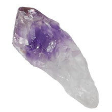 Load image into Gallery viewer, Amethyst Root Large Semi-Polished # 26