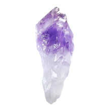 Load image into Gallery viewer, Amethyst Root Large Semi-Polished # 26