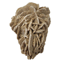 Load image into Gallery viewer, Desert Rose Clusters # 27
