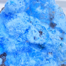 Load image into Gallery viewer, Cyanotrichite Specimen # 83
