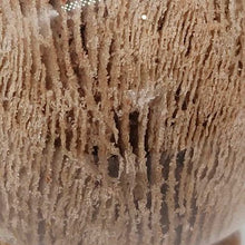 Load image into Gallery viewer, 1000 Layer Garden Quartz Sphere # 22