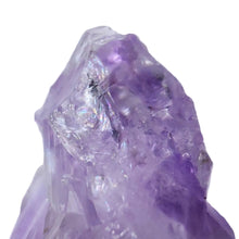 Load image into Gallery viewer, Amethyst Root Large Semi-Polished # 48