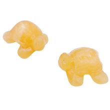 Load image into Gallery viewer, Sea Turtles