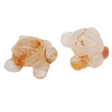 Load image into Gallery viewer, Sea Turtles