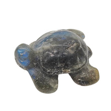 Load image into Gallery viewer, Sea Turtles