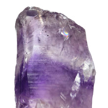 Load image into Gallery viewer, Amethyst Root Large Semi-Polished # 97