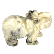 Load image into Gallery viewer, Crazy Lace Agate Elephant # 96