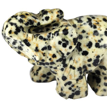 Load image into Gallery viewer, Dalmatian Jasper Elephant P.I # 146
