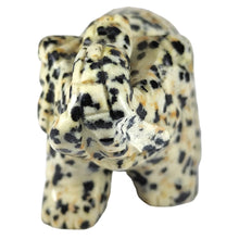 Load image into Gallery viewer, Dalmatian Jasper Elephant P.I # 146