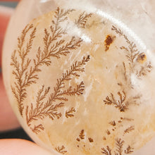 Load image into Gallery viewer, Dendritic Quartz Sphere w/Star # 40