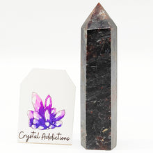 Load image into Gallery viewer, Arfvedsonite + Garnet Point # 118