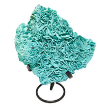 Load image into Gallery viewer, Chrysocolla Pseudomorph Gypsum Specimen # 99