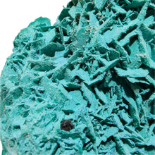 Load image into Gallery viewer, Chrysocolla Pseudomorph Gypsum Specimen # 99