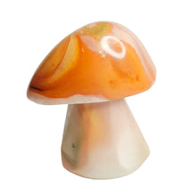 Load image into Gallery viewer, Polychrome Jasper Mushroom # 174