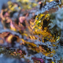 Load image into Gallery viewer, Rainbow Chalcopyrite Iceland Spar Specimen # 137