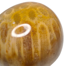 Load image into Gallery viewer, Fossil Coral XL Tumble # 162