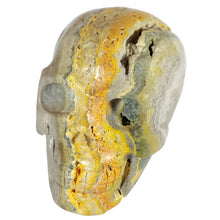 Load image into Gallery viewer, Bumblebee Jasper Skull # 108