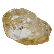 Load image into Gallery viewer, Enhydro Golden Healer Freeform # 86