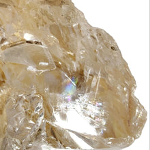 Load image into Gallery viewer, Enhydro Golden Healer Freeform # 86