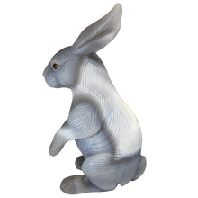 Load image into Gallery viewer, Agate Rabbit # 124