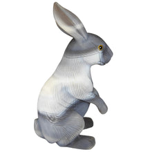 Load image into Gallery viewer, Agate Rabbit # 124