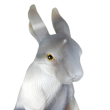 Load image into Gallery viewer, Agate Rabbit # 124