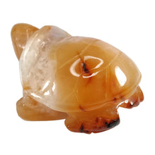 Load image into Gallery viewer, Carnelian Turtle # 102