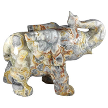 Load image into Gallery viewer, Crazy Lace Agate Elephant XL # 172