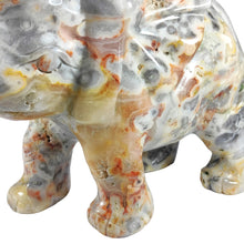 Load image into Gallery viewer, Crazy Lace Agate Elephant XL # 172