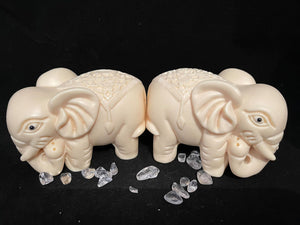 Tagua Nut Elephant Set