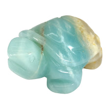 Load image into Gallery viewer, Amazonite Turtle # 52