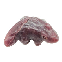 Load image into Gallery viewer, Crocodiles