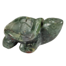 Load image into Gallery viewer, African Bloodstone Turtle # 62