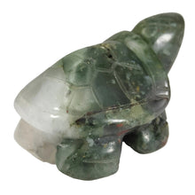 Load image into Gallery viewer, African Bloodstone Turtle # 62