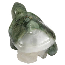 Load image into Gallery viewer, African Bloodstone Turtle # 62