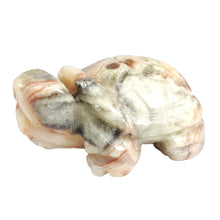 Load image into Gallery viewer, Crazy Lace Agate Turtle # 50