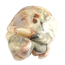 Load image into Gallery viewer, Crazy Lace Agate Turtle # 50