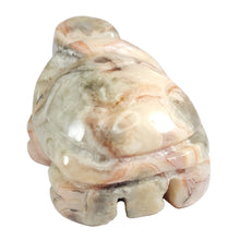 Load image into Gallery viewer, Crazy Lace Agate Turtle # 50