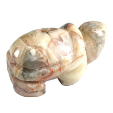 Load image into Gallery viewer, Crazy Lace Agate Turtle # 50