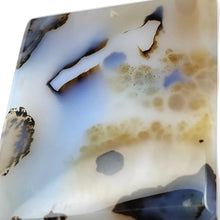 Load image into Gallery viewer, Dendritic Agate Free Form # 70