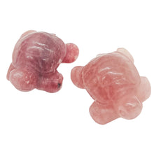 Load image into Gallery viewer, Sea Turtles