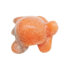 Load image into Gallery viewer, Sea Turtles