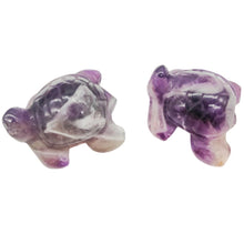 Load image into Gallery viewer, Sea Turtles