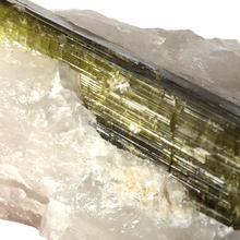 Load image into Gallery viewer, Green Tourmaline in Quartz Specimen # 135