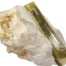 Load image into Gallery viewer, Green Tourmaline in Quartz Specimen # 135